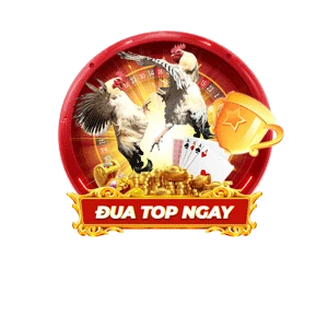 Top player promotion